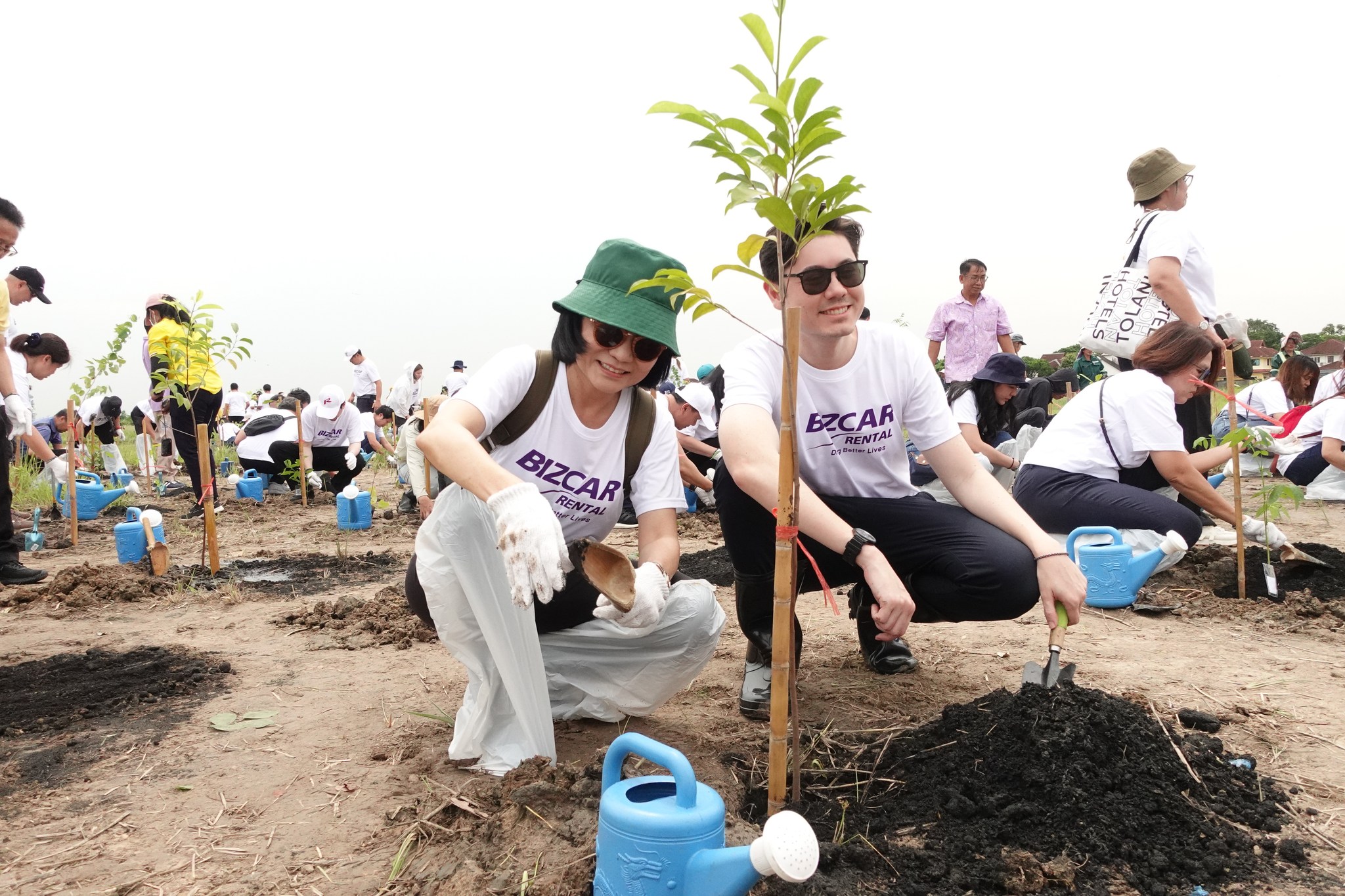Tree Planting